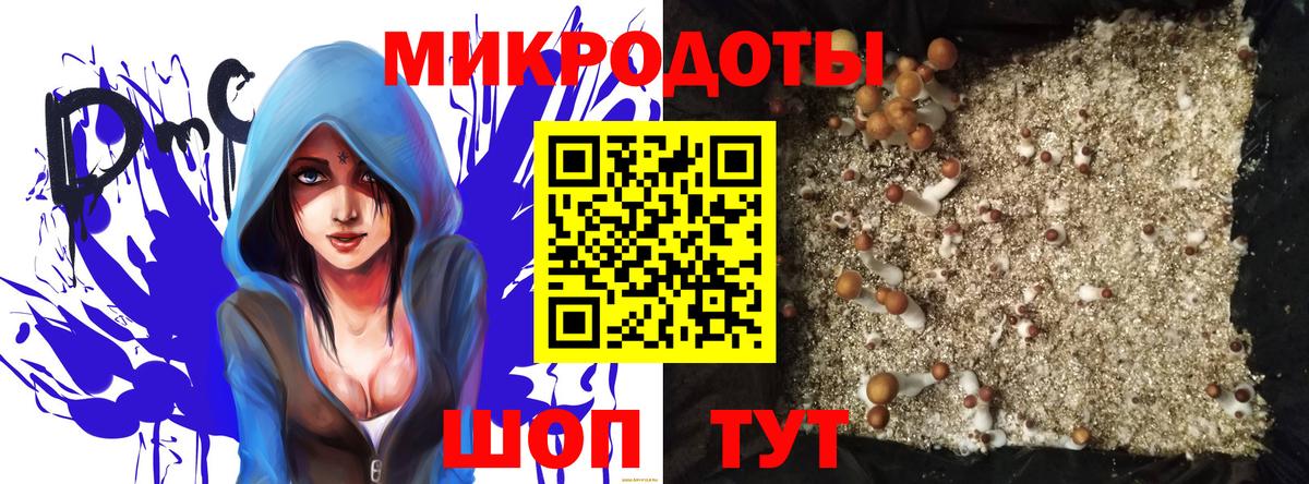Псилоцибиновые грибы Magic Shrooms Сатка